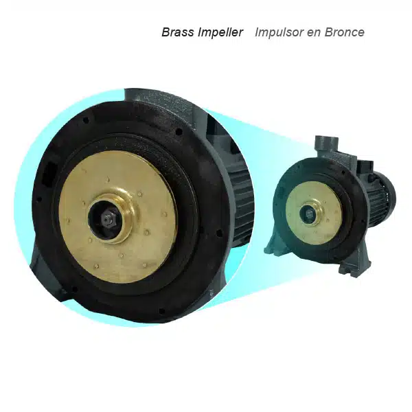 Motobomba Pearl Centrífuga C2P 30H36S - Imagen 2